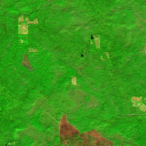 Drakes Creek Fire (Louisiana) — Sentinel-2 SWIR