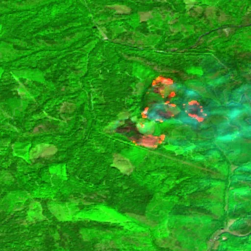 Dudley Fire (Idaho) — Sentinel-2 SWIR (fuego)