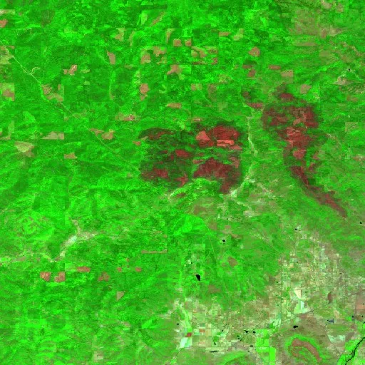 E Evans Creek Rd 18000 Fire (OR) — Sentinel-2 SWIR (fuego)