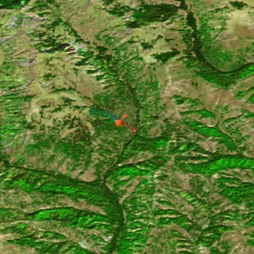 East Fork Fire (Idaho) — Sentinel-2 SWIR (fuego)