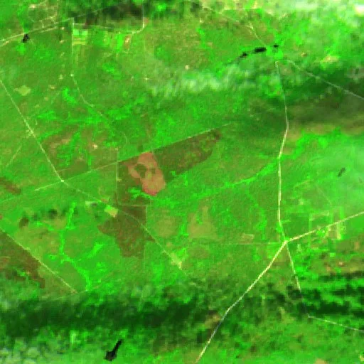 Incendio Farm Road (Carolina del Norte) — Sentinel-2 SWIR (fuego)
