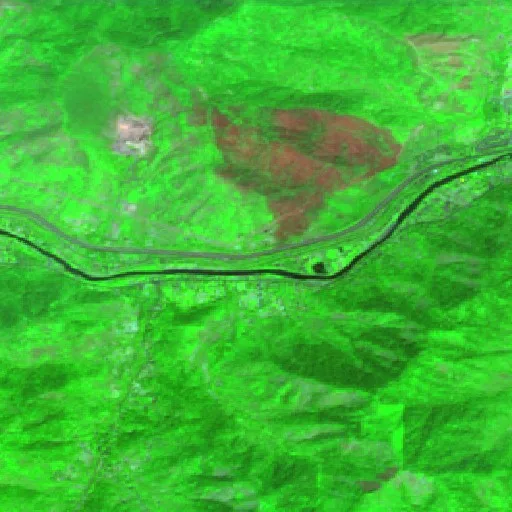 Incendio Fielder Mtn (Oregon) — Sentinel-2 SWIR (fuego)
