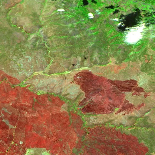 Flint Fire (Idaho) — Sentinel-2 SWIR (fuego)