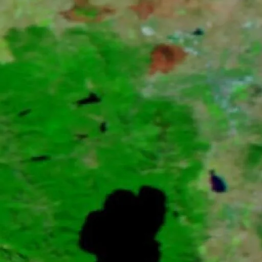 Incendio Floriston (California) — NASA satellite