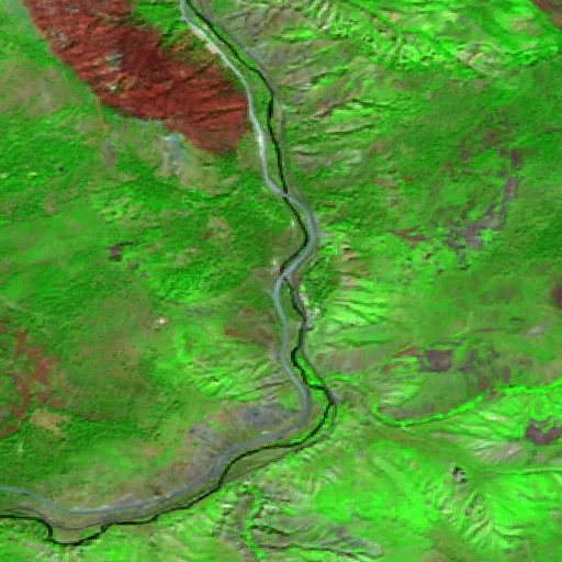 Floriston Fire (California) — Sentinel-2 SWIR (fuego)