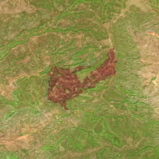 Fowl Fire (New Mexico) — Sentinel-2 SWIR (fuego)
