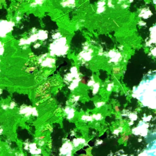 Fowler Cemetery Fire (South Carolina) — Sentinel-2 SWIR (fuego)