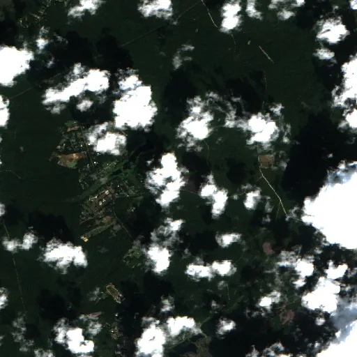 Fowler Cemetery Fire (South Carolina) — Sentinel-2 true color