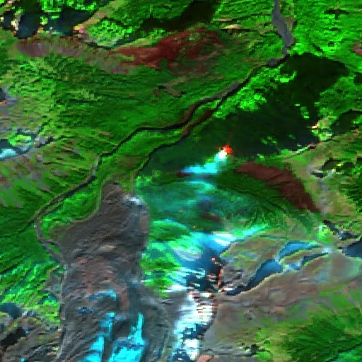 Garda Falls Fire (Washington) — Sentinel-2 SWIR (fuego)