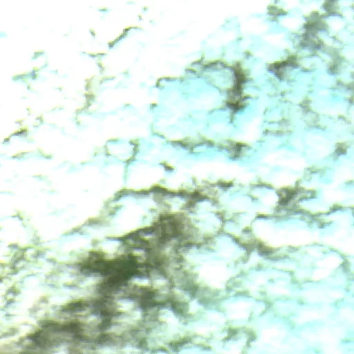 Incendio Gilbert (Dakota del Sur) — Sentinel-2 SWIR (fuego)