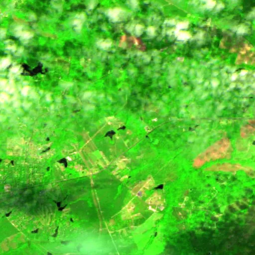 Incendio Gone Away Road (Carolina del Norte) — Sentinel-2 SWIR (fuego)
