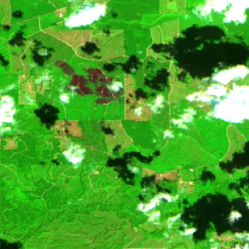 Gordie Branch Fire (Louisiana) — Sentinel-2 SWIR (fuego)