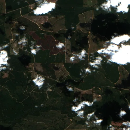 Gordie Branch Fire (Louisiana) — Sentinel-2 true color