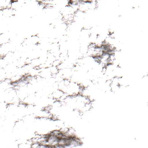 Incendio Grass Burr (Texas) — Sentinel-2 true color