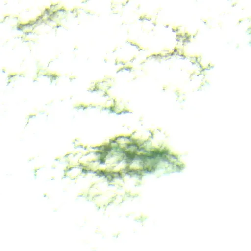 Incendio Grass Burr (Texas) — Sentinel-2 SWIR (fuego)