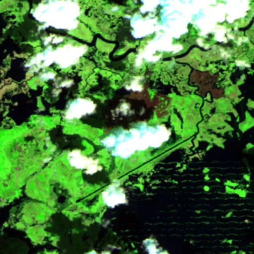 Incendio Gray (Louisiana) — Sentinel-2 SWIR (fuego)