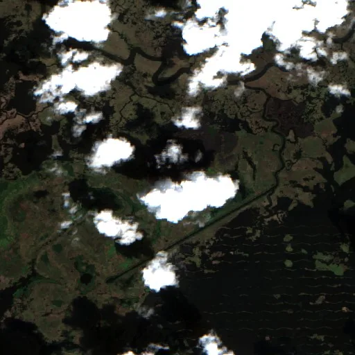 Incendio Gray (Louisiana) — Sentinel-2 true color