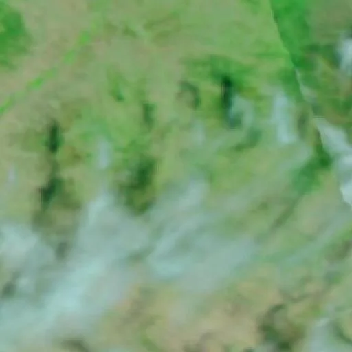 Griffin Fire (Montana) — NASA satellite