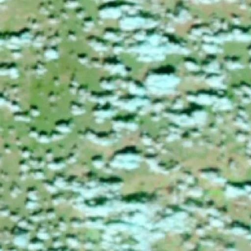 Grover Bend Fire (Texas) — NASA satellite