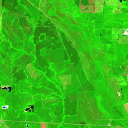 Incendio Hancock - Texas Flat Road (MS) — Sentinel-2 SWIR (fuego)