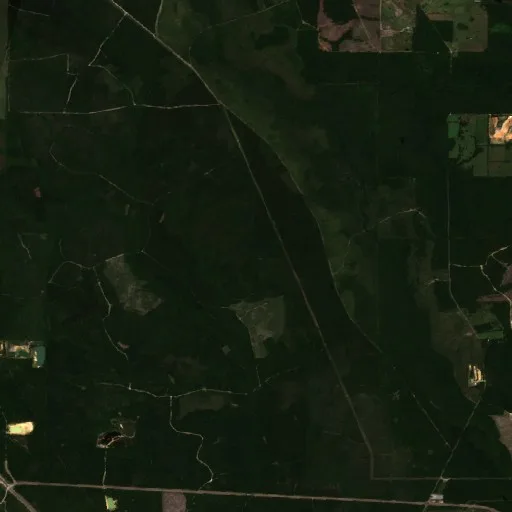 Incendio Hancock - Texas Flat Road (MS) — Sentinel-2 true color