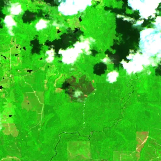 Holland Baxter Road Fire (Alabama) — Sentinel-2 SWIR (fuego)