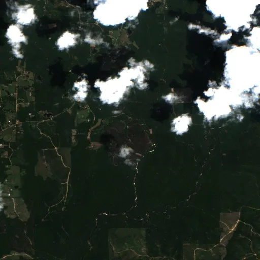 Holland Baxter Road Fire (Alabama) — Sentinel-2 true color
