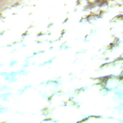 Incendio Horse Camp (Montana) — Sentinel-2 SWIR (fuego)