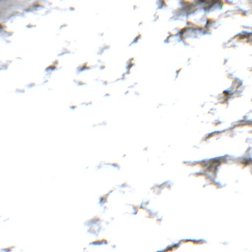 Incendio Horse Camp (Montana) — Sentinel-2 true color