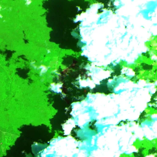 Incendio Horse Island (SC) — Sentinel-2 SWIR (fuego)