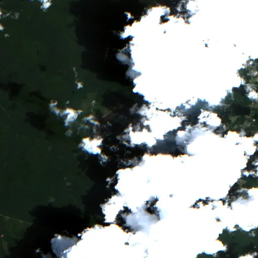 Incendio Horse Island (SC) — Sentinel-2 true color