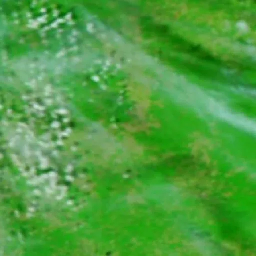 Hwy B Fire (Missouri) — NASA satellite