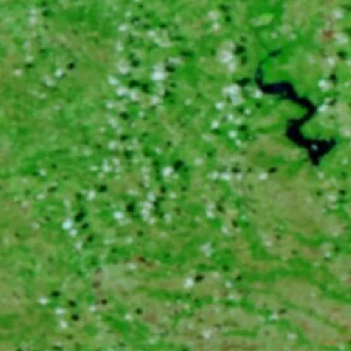 Incendio Hydra (Texas) — NASA satellite