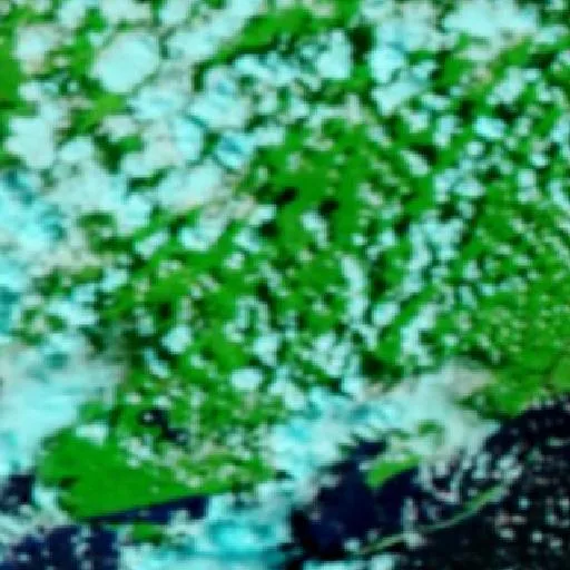 Iao Fire (Florida) — NASA satellite