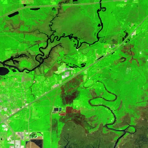 Incendio Jackson - Hwy 90 (Mississippi) — Sentinel-2 SWIR (fuego)