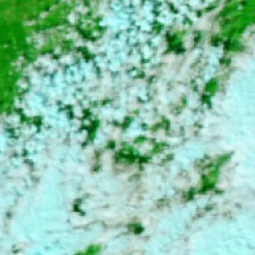 Jasper Cr 25 Fire (Mississippi) — NASA satellite