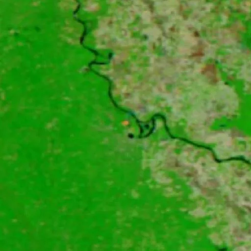 Jefferson 315 Fire (Arkansas) — NASA satellite