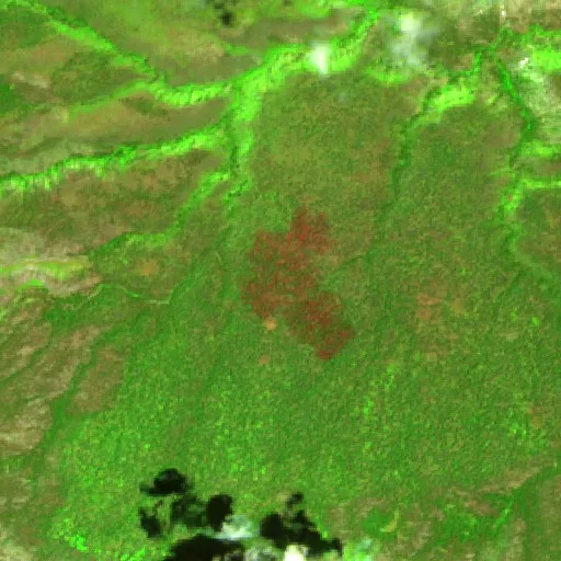 Johnson Fire (NM) — Sentinel-2 SWIR (fuego)