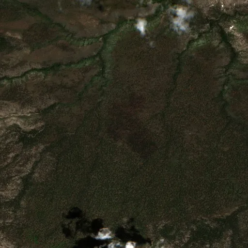 Johnson Fire (NM) — Sentinel-2 true color