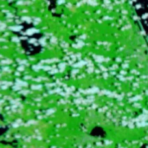 Jones Island Fire (Florida) — NASA satellite