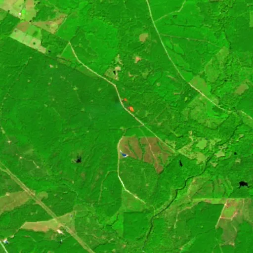 Kickapoo Creek Fire, Groverton, Texas — Sentinel-2 SWIR (fuego)