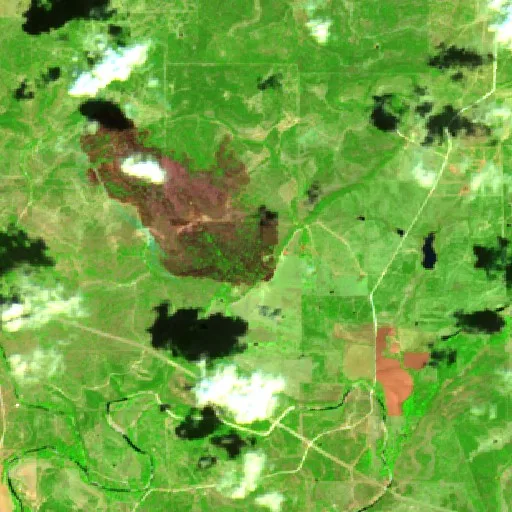 Kurk Fire, Cherokee, Texas — Sentinel-2 SWIR (fuego)