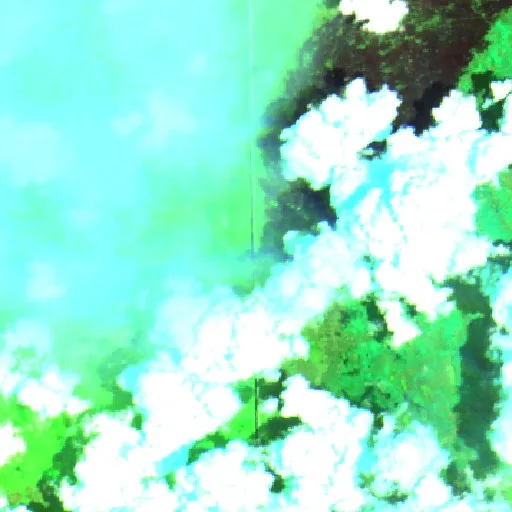 L 28 Fire (Florida) — Sentinel-2 SWIR (fuego)