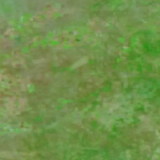 Ladybug Fire (Texas) — NASA satellite