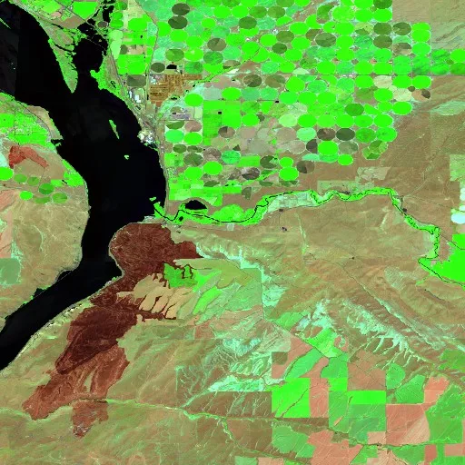 LAMBDIN Fire (WA) — Sentinel-2 SWIR (fuego)