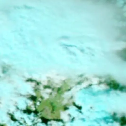 Lightning Creek Fire (Texas) — NASA satellite