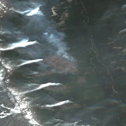 Incendio LITTLE GIANT (WA) — Sentinel-2 true color