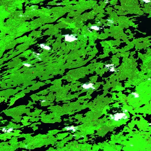 Little Knife Fire (MN) — Sentinel-2 SWIR (fuego)