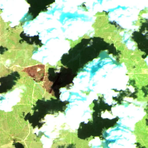 Incendio Live Oak (Texas) — Sentinel-2 SWIR (fuego)