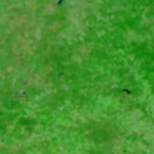 Lobo Fire (Texas) — NASA satellite